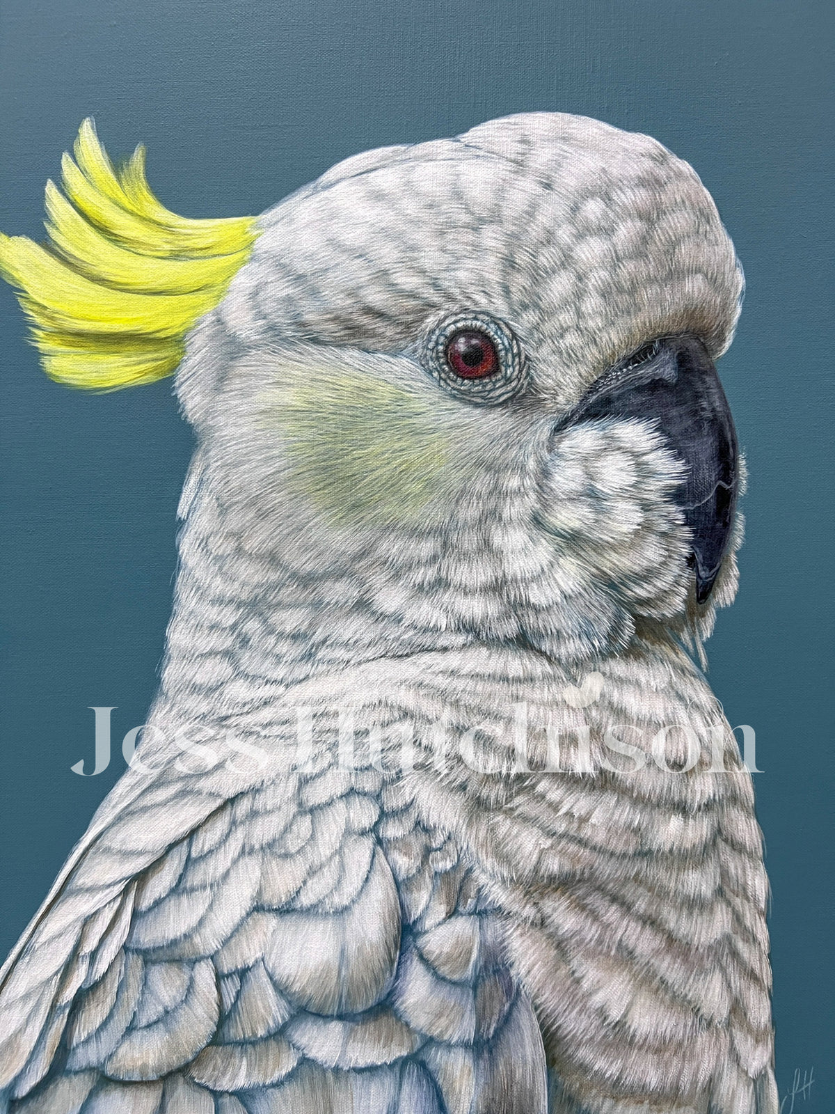 Myrtle the Sulphur Crested Cockatoo original framed artwork