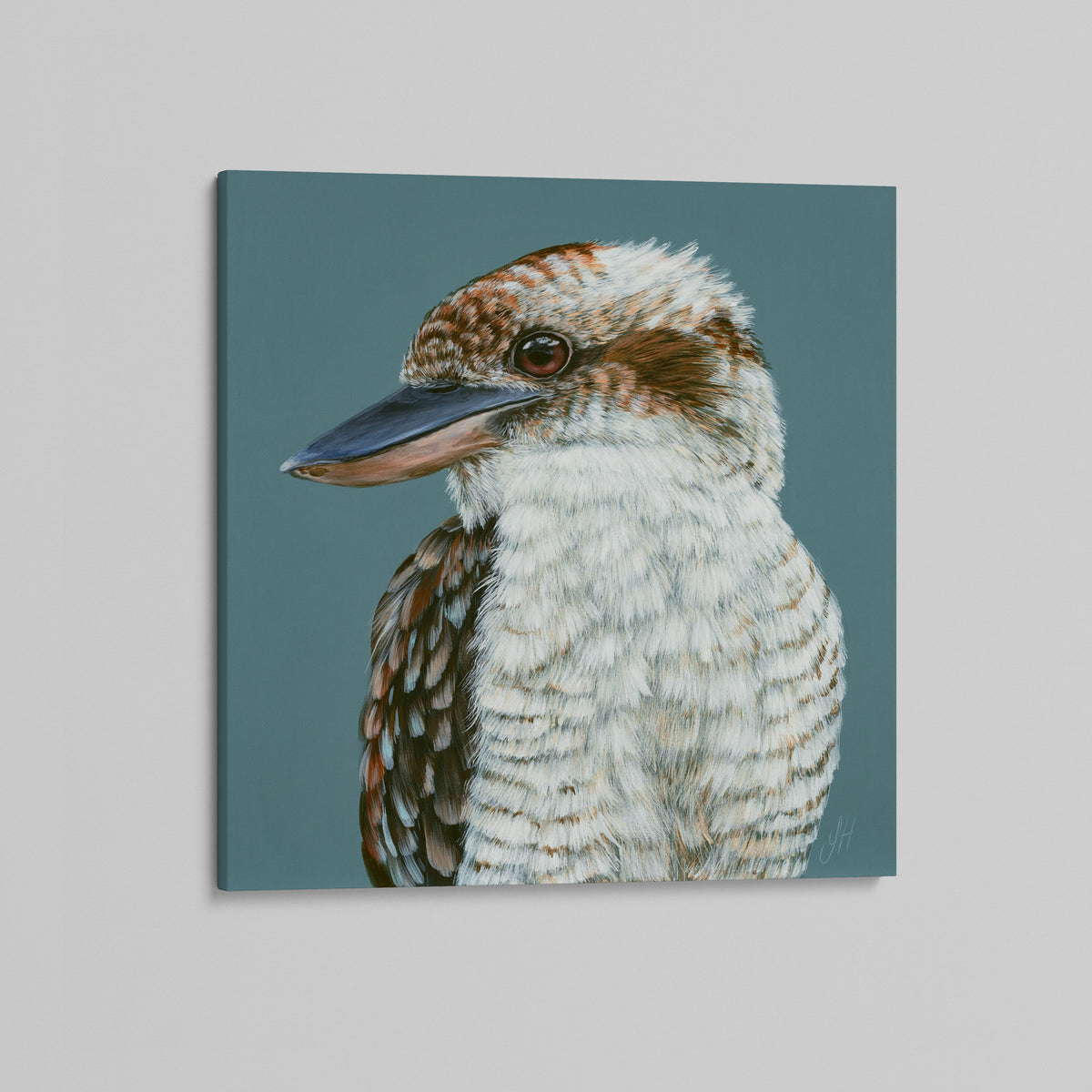 Jack the Laughing Kookaburra canvas print