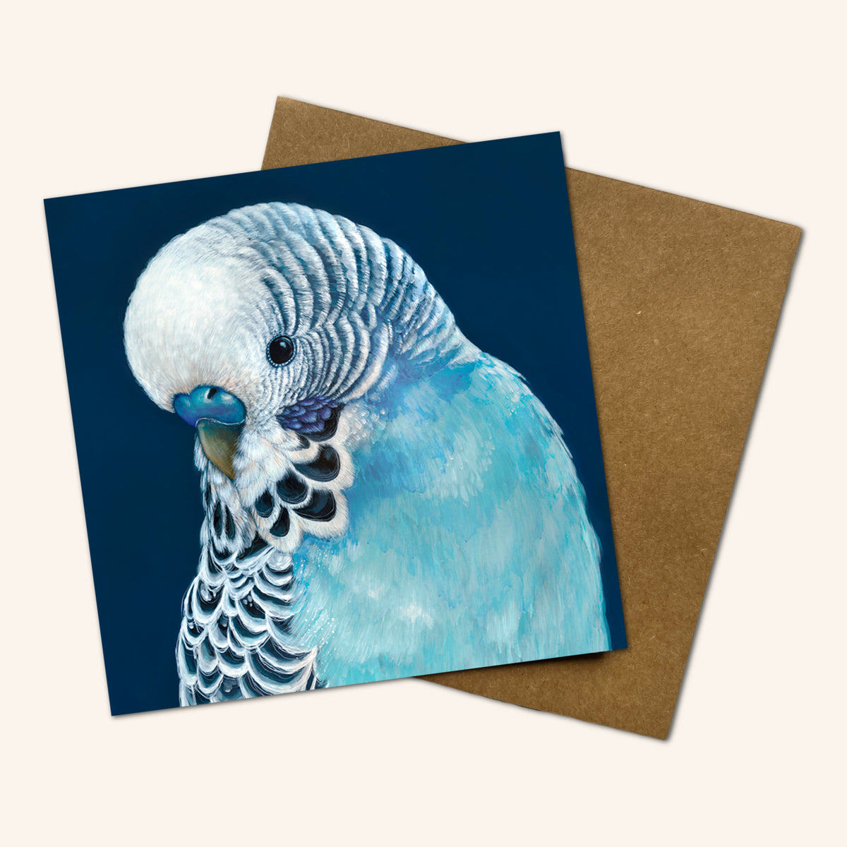 Mystery Greeting card pack of 10 - Birds