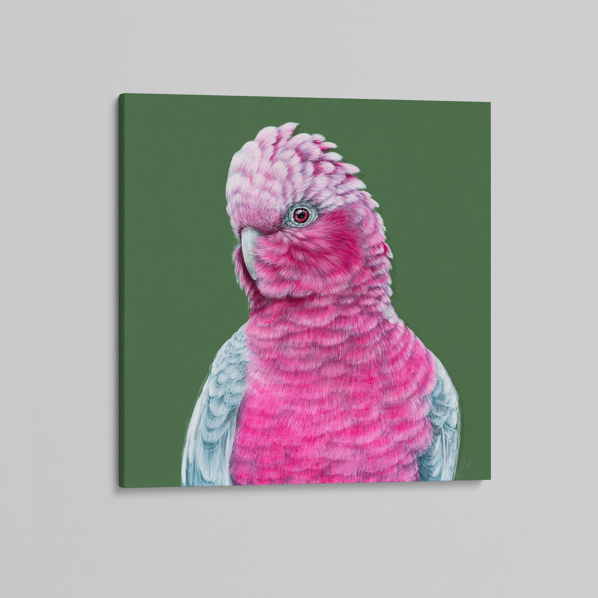 Lottie the Galah canvas print