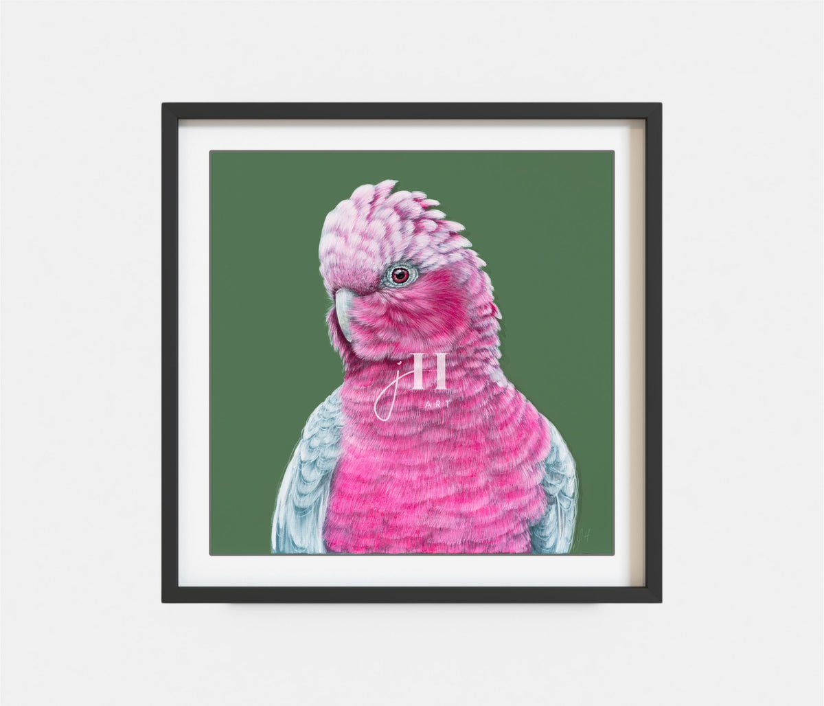 Lottie the Galah