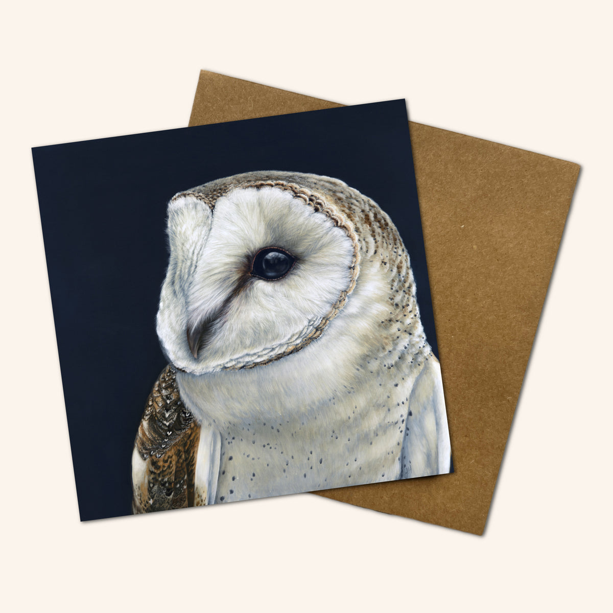 Mystery Greeting card pack of 10 - Birds
