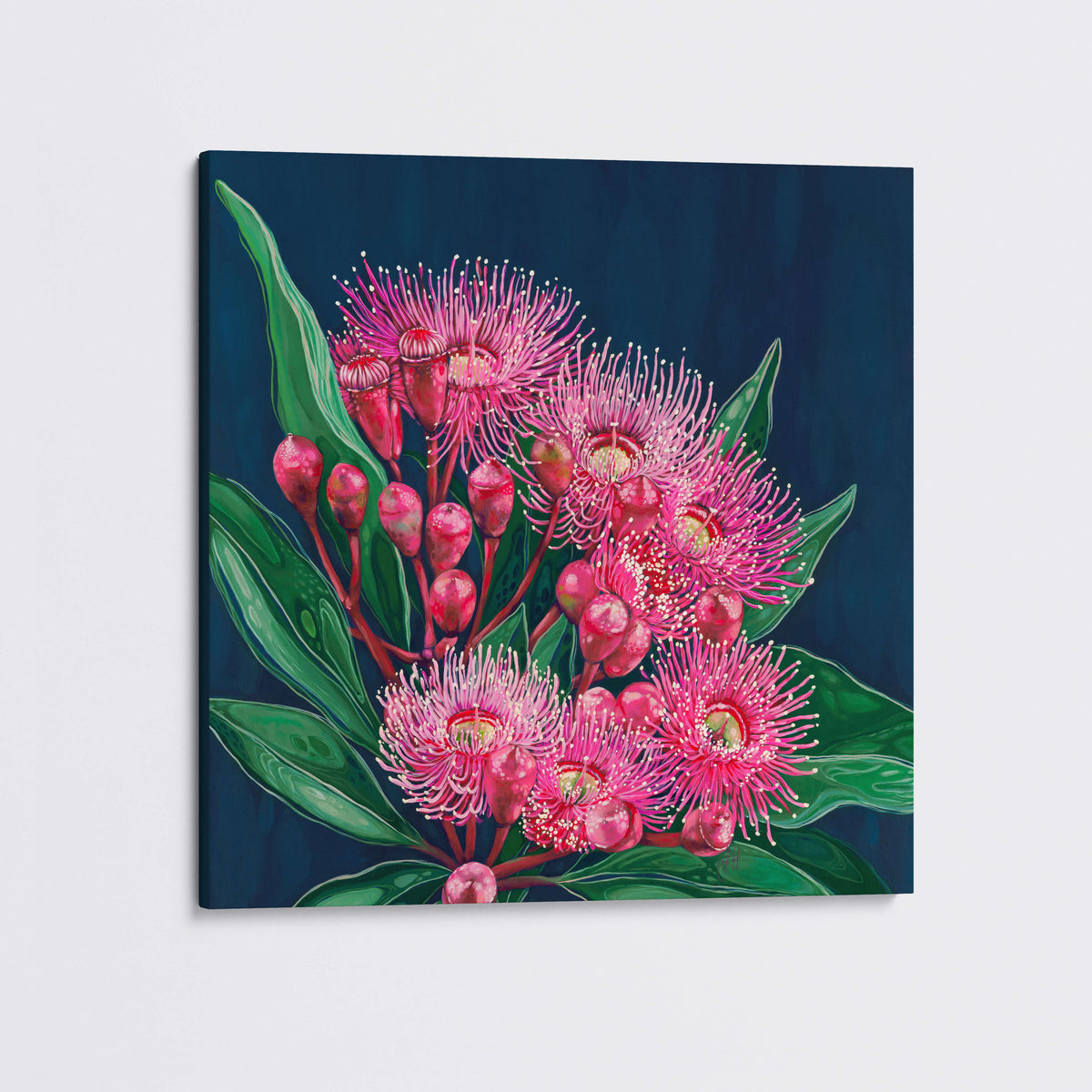 &#39;Midnight Flowering Gum&#39; canvas print