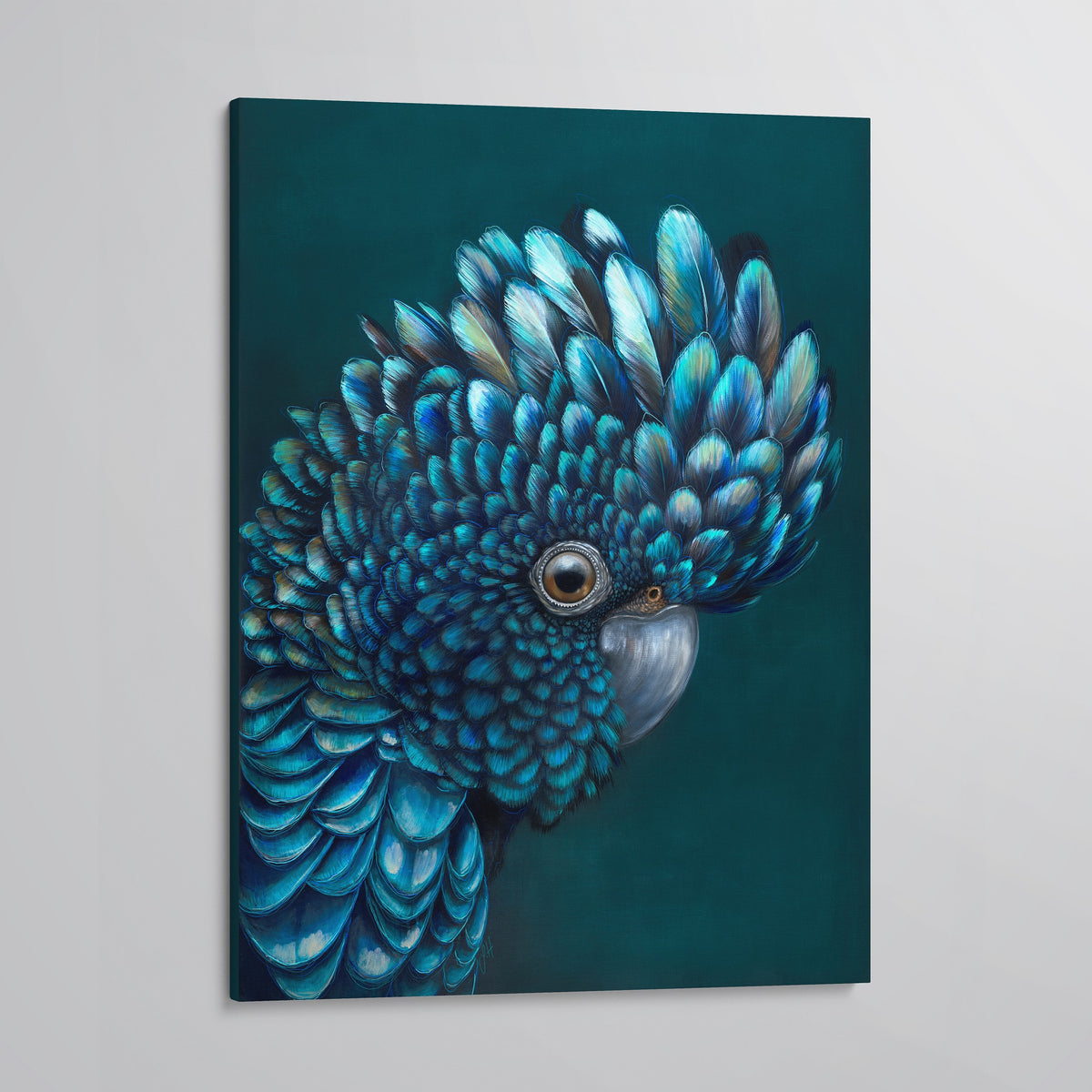 &#39;Oz&#39; The Red Tailed Black Cockatoo canvas print