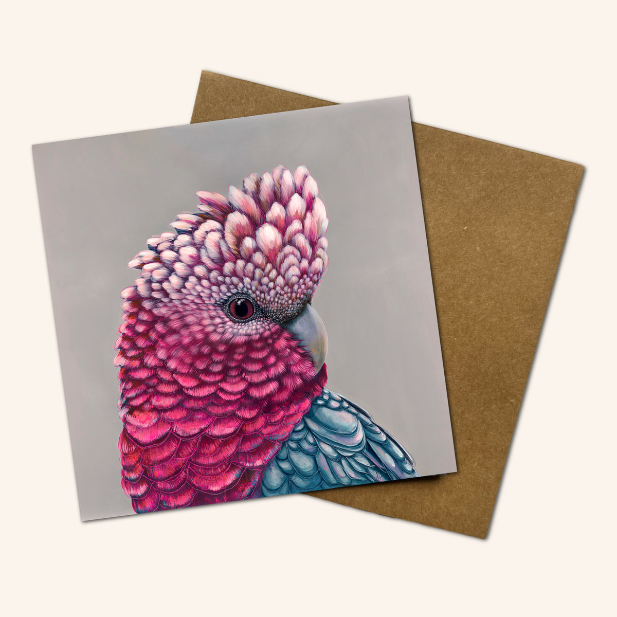 Mystery Greeting card pack of 10 - Birds