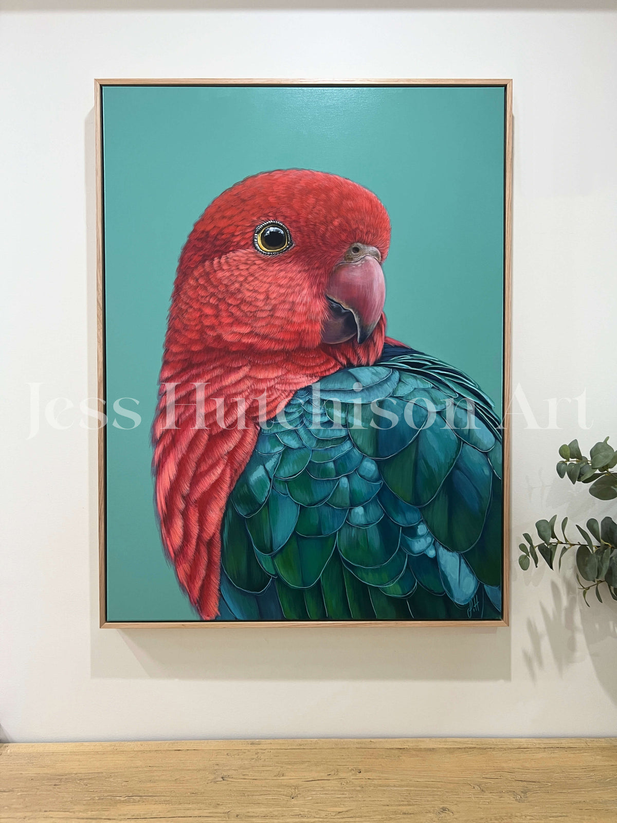 &#39;Red&#39; the King Parrot framed original artwork