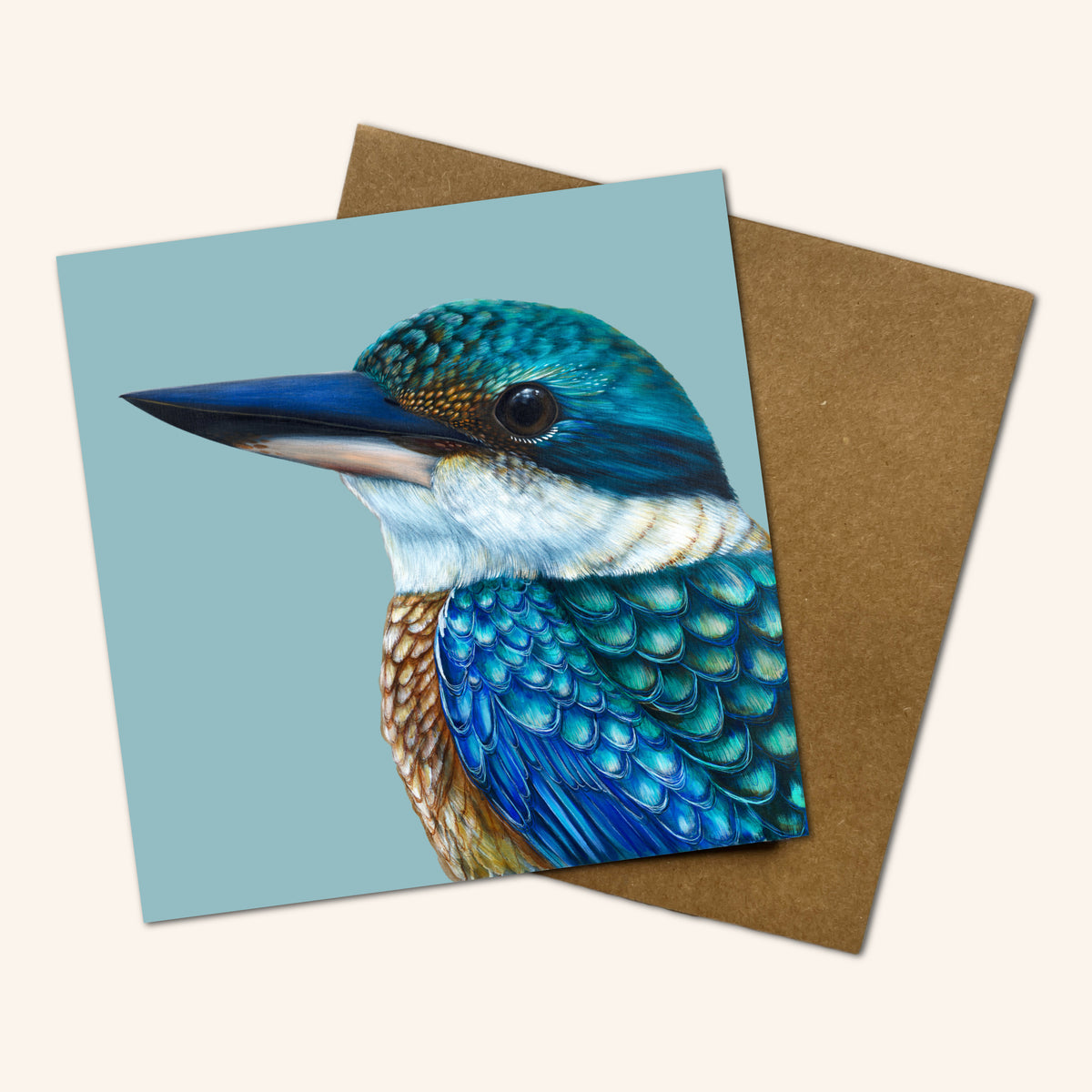 Mystery Greeting card pack of 10 - Birds