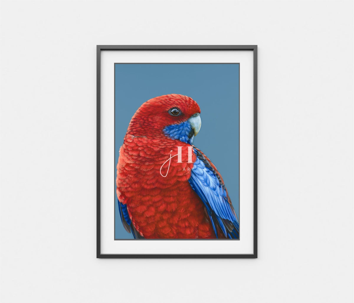 'Russell' The Crimson Rosella