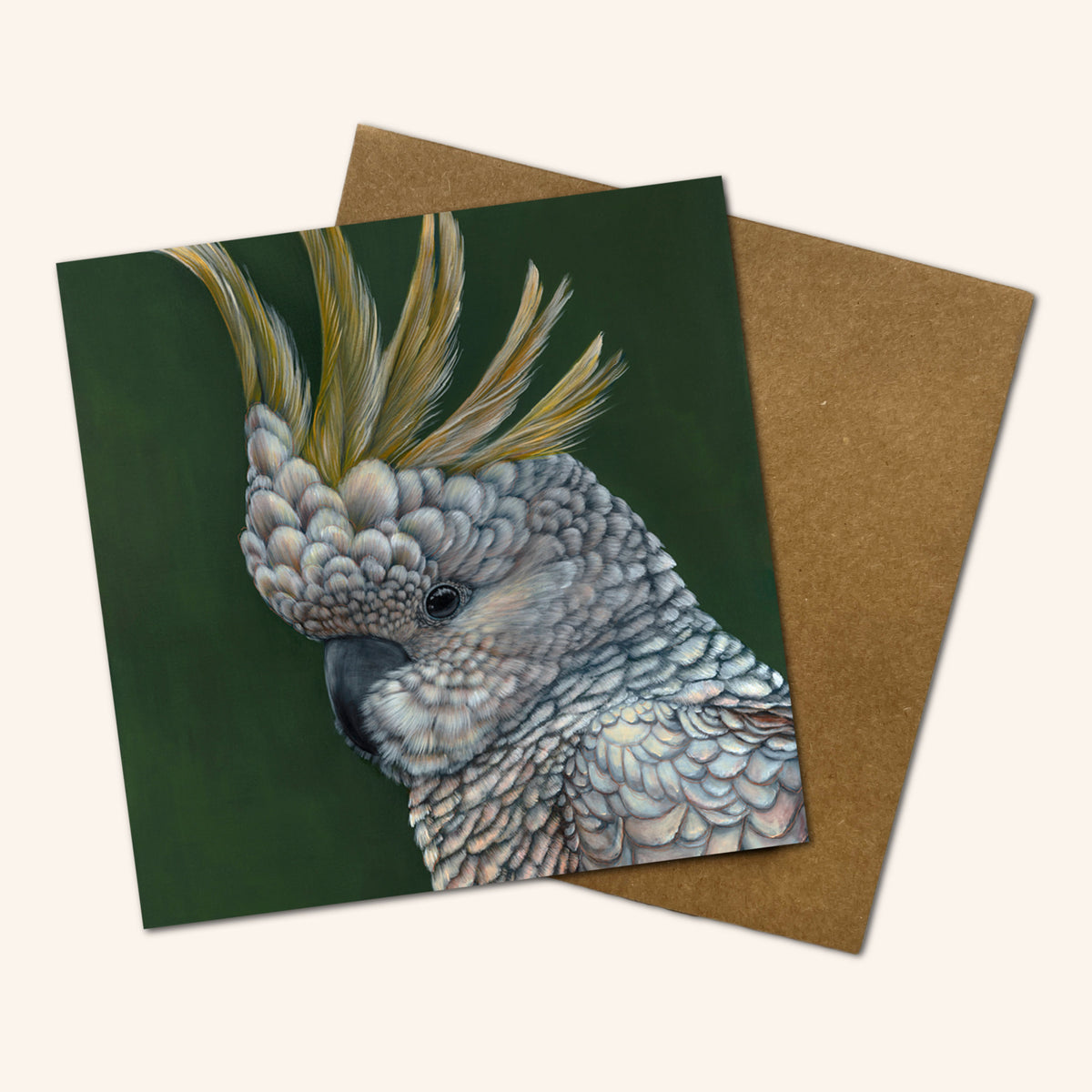 Mystery Greeting card pack of 10 - Birds