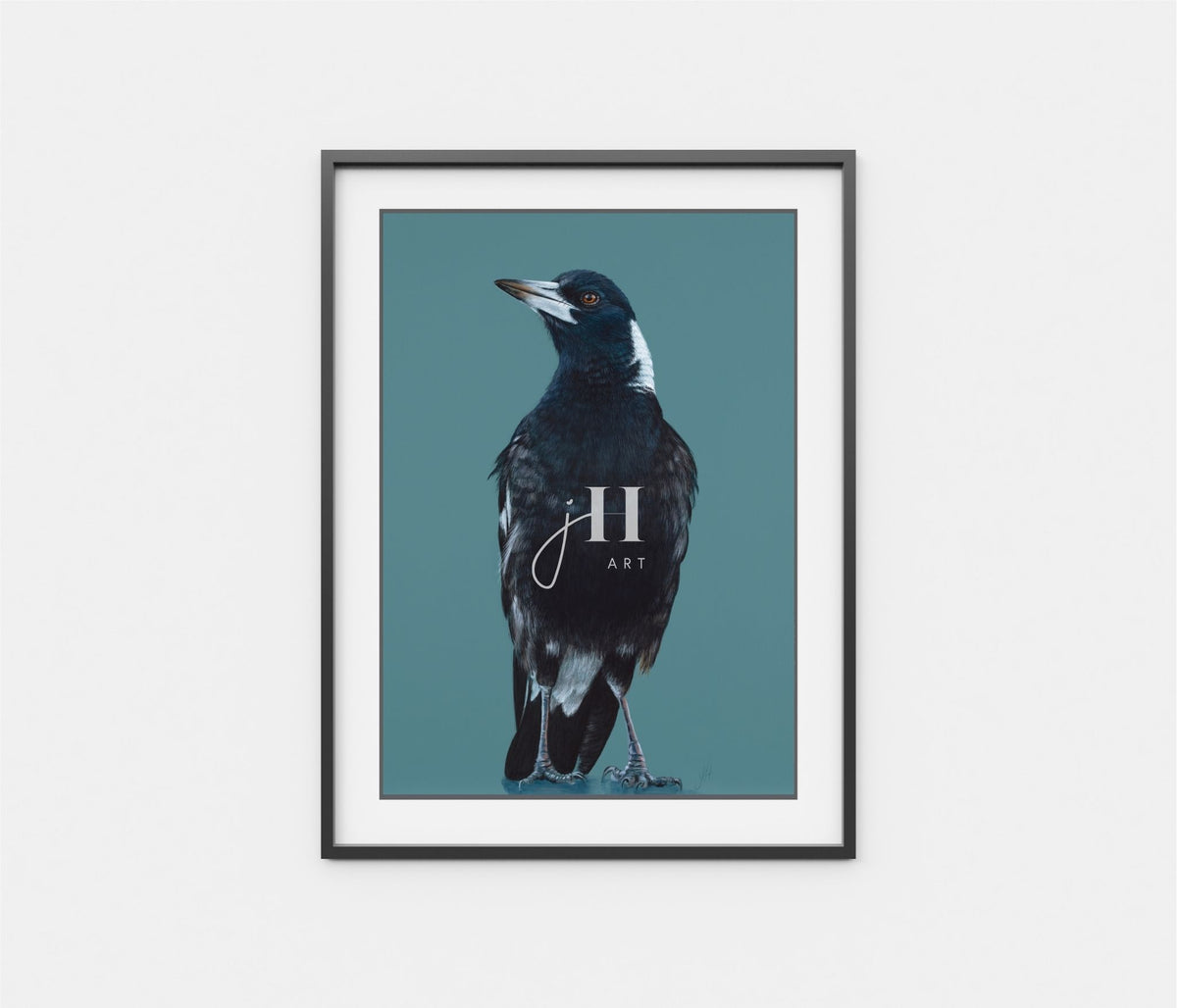 'Stanley' The Australian Magpie