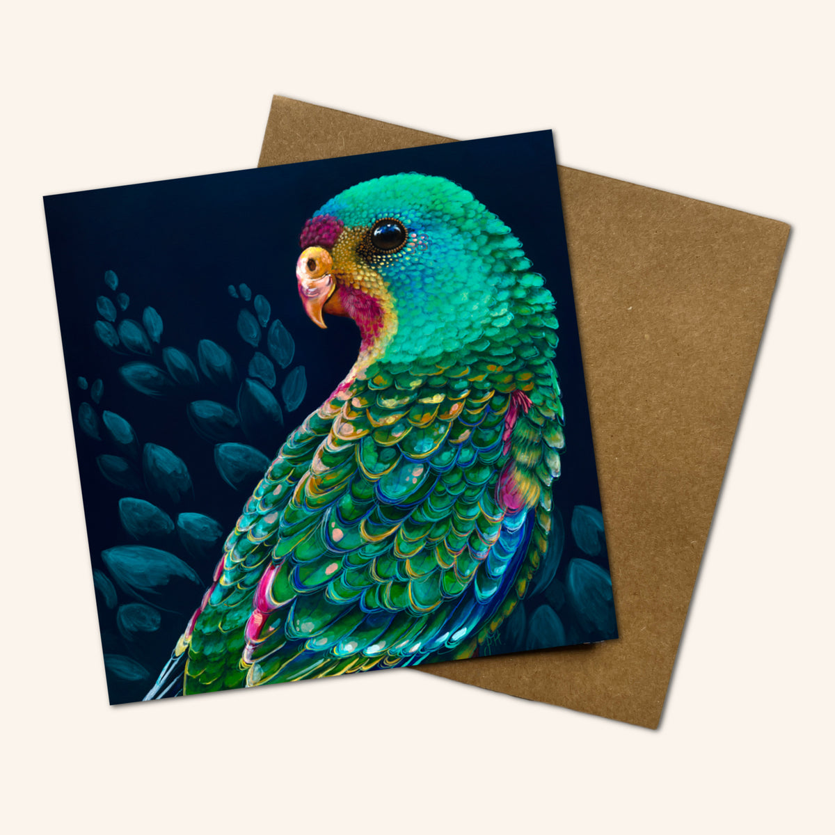 Mystery Greeting card pack of 10 - Birds