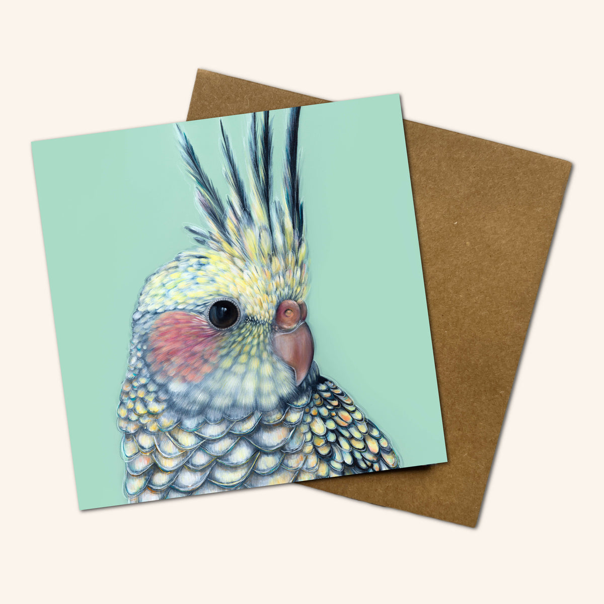 Mystery Greeting card pack of 10 - Birds