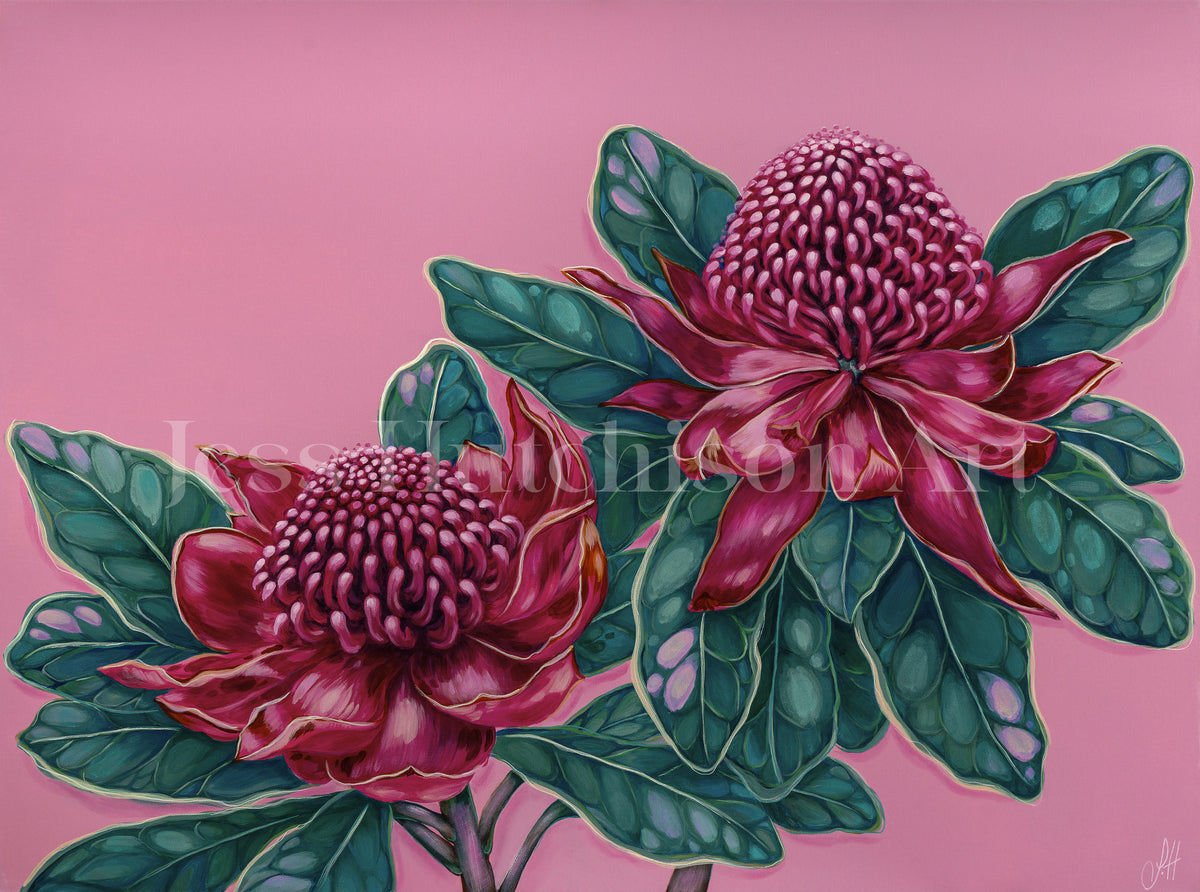 &#39;Waratah Dreams&#39; original framed artwork