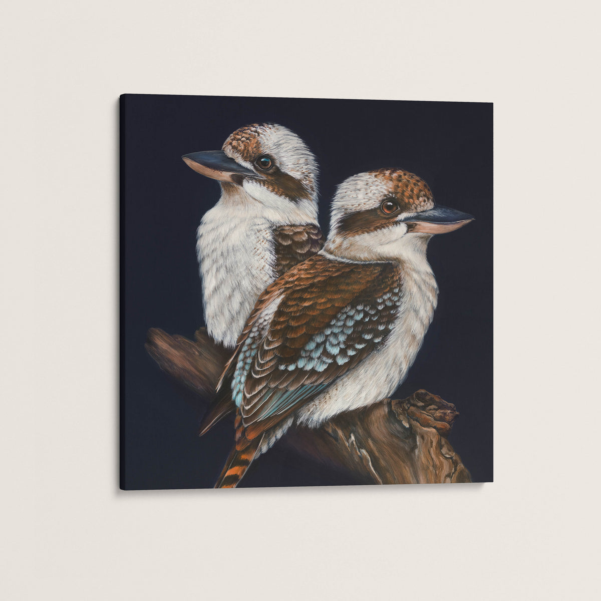 'Where you are' Kookaburra pair canvas print
