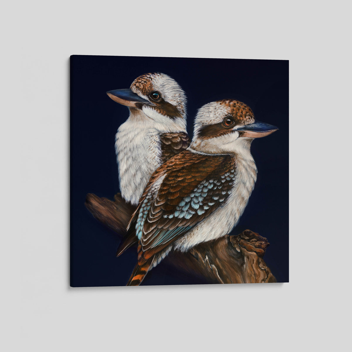 'Where you are' Kookaburra pair canvas print