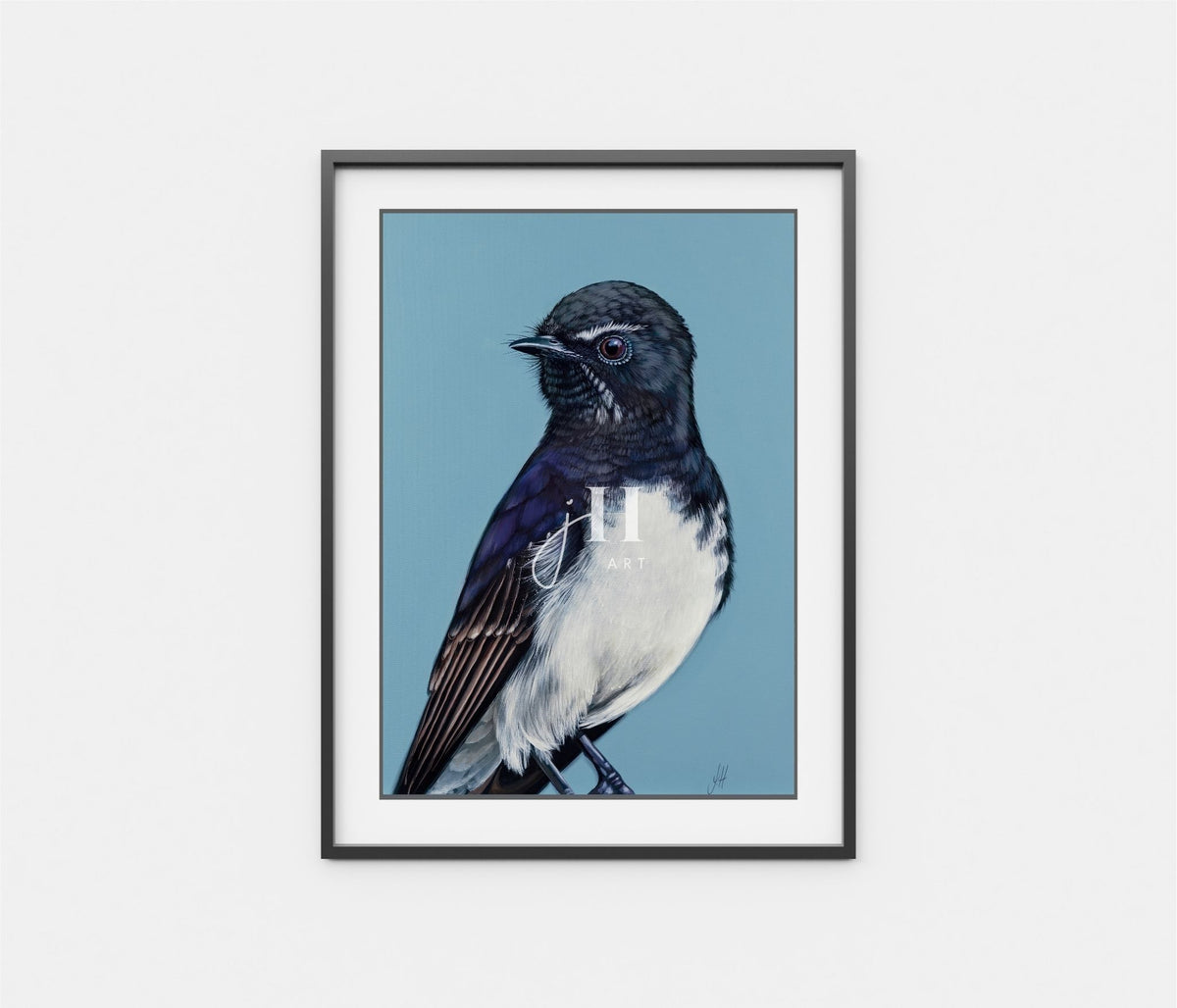 'William' the Willie Wagtail