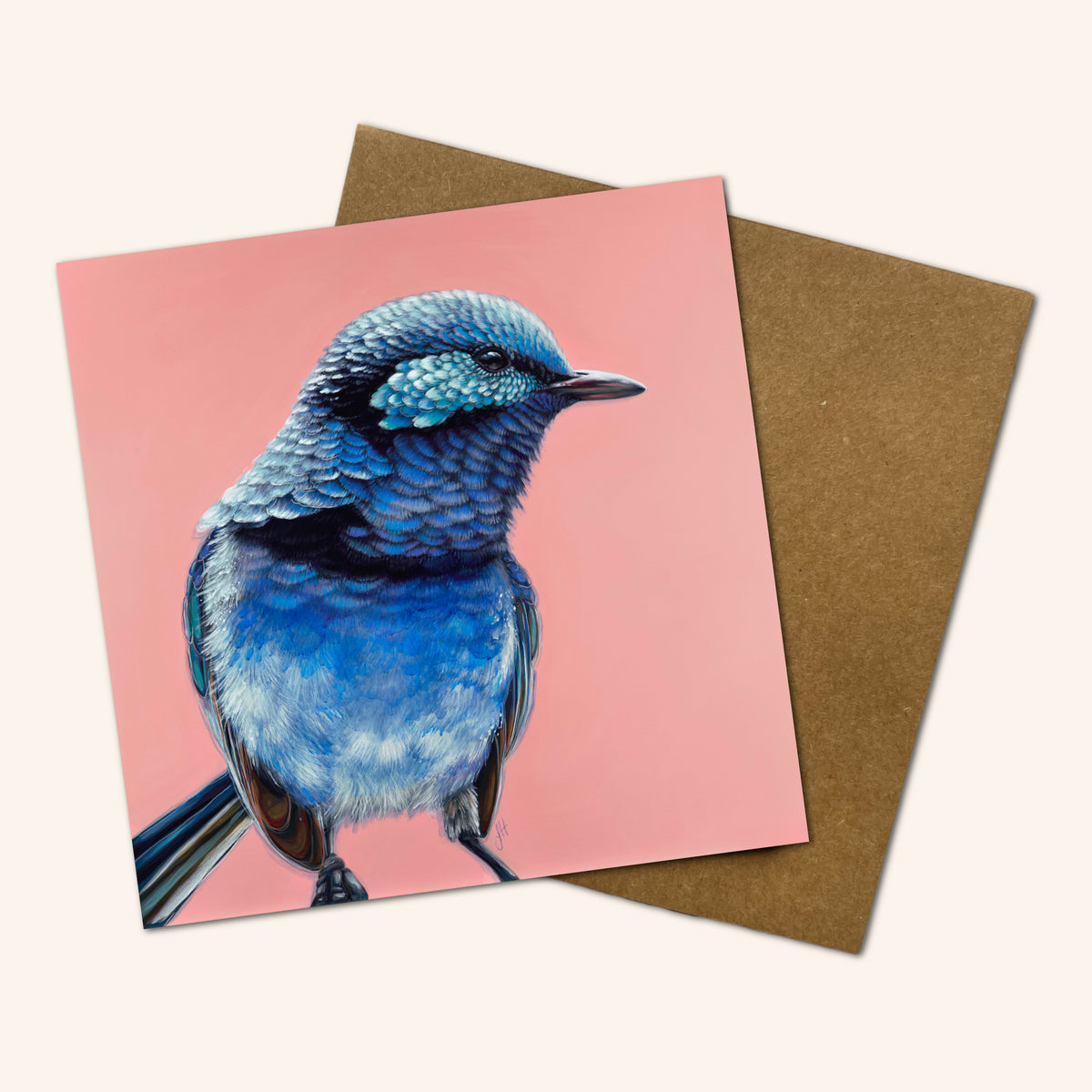 Mystery Greeting card pack of 10 - Birds