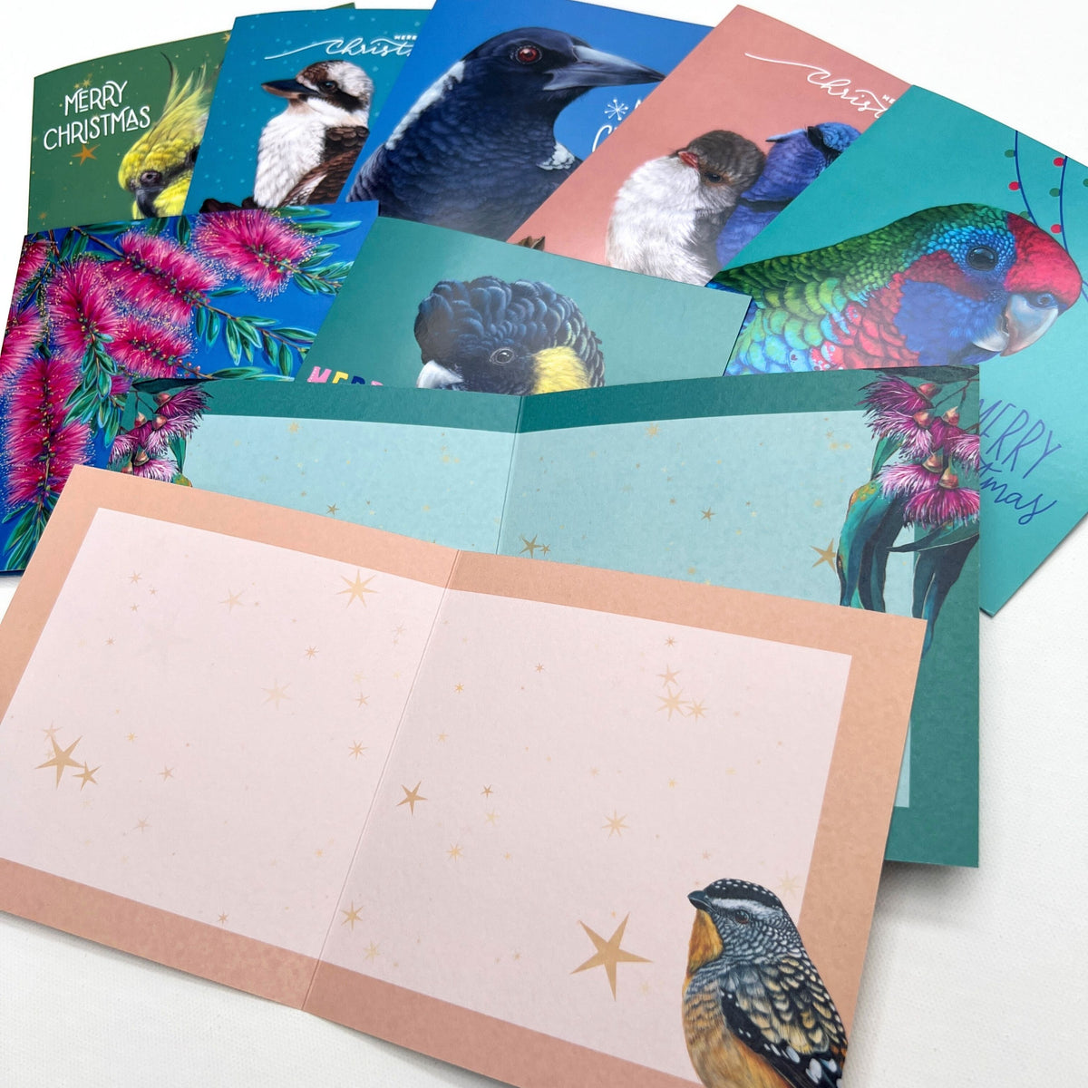 2025 edition Christmas Card Set