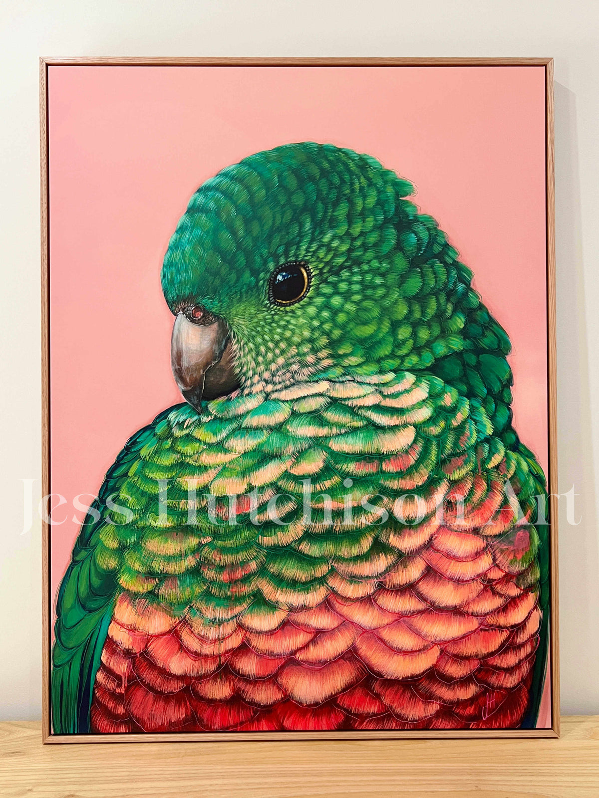 &#39;Queenie&#39; the King Parrot Canvas Print